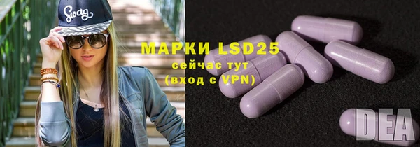 прущие грибы Алексин