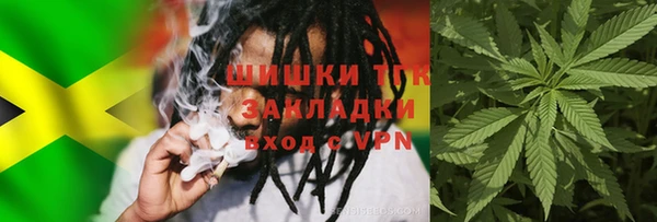 тгк Алзамай