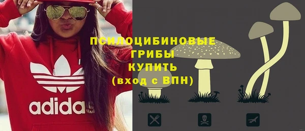 тгк Алзамай