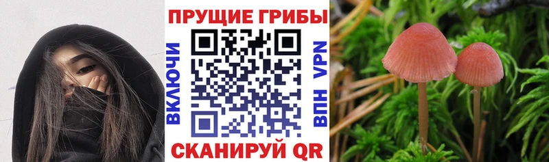 Псилоцибиновые грибы ЛСД  Салехард 